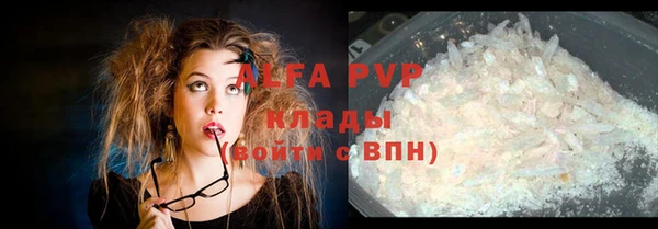 сатива Алексеевка