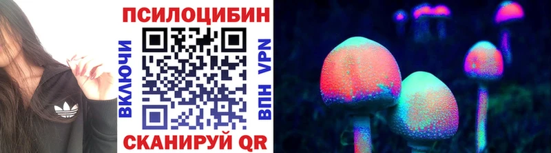 Псилоцибиновые грибы Cubensis Купить закладки Трёхгорный