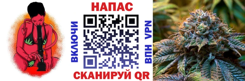 Купить  Трёхгорный  Бошки Шишки VHQ 